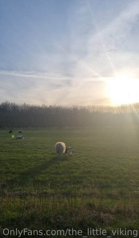 the little viking pornstar nice pics