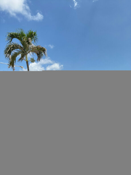 famous female onlyfans top galleries