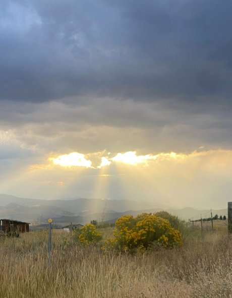 snixx sex pornstar galleries