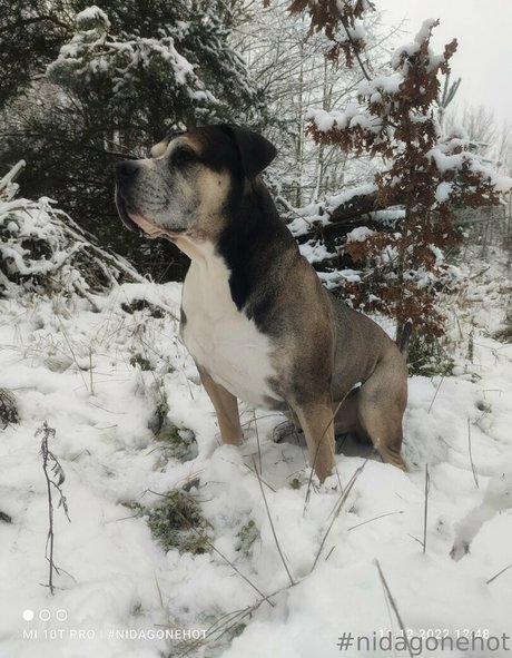 kim privat high quality star images