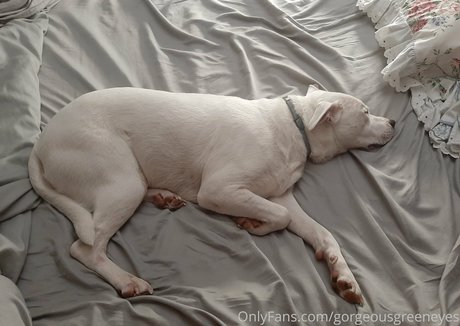 gorgeousgreeneyes xxx model gallery