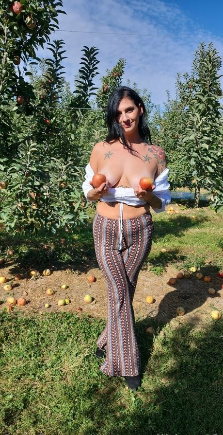 sexxi jess star top img