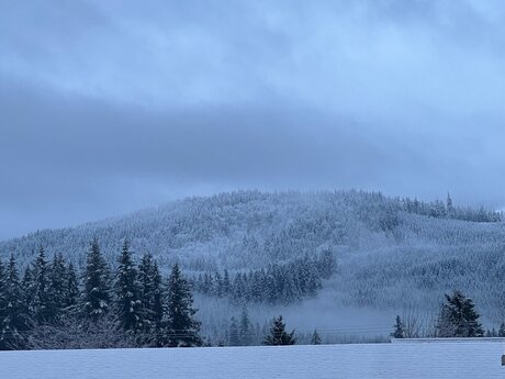 Elchapoleen nude actress picture