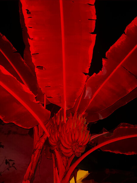 babybutter666 pornstar naked pics