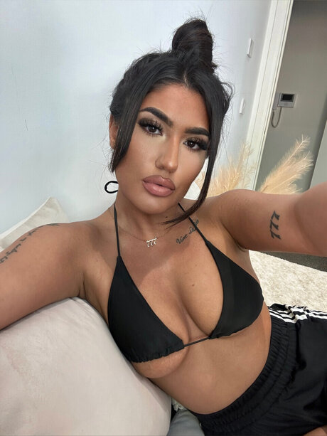 Beets_ high quality star archive