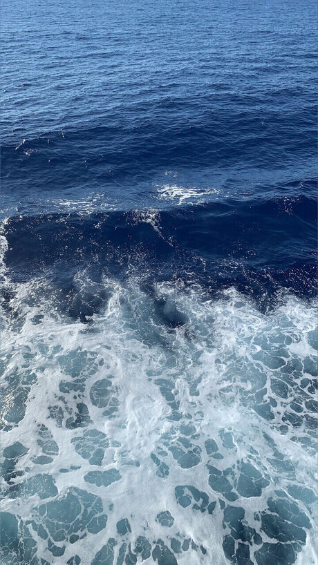 Lily_ pornstar art photo