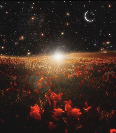 702latino star high quality pics