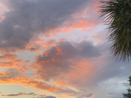 Sacred Dnari model top photo