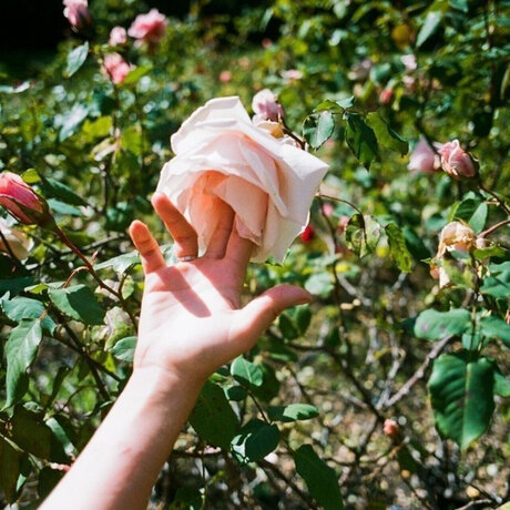 Miss Laia free model pic