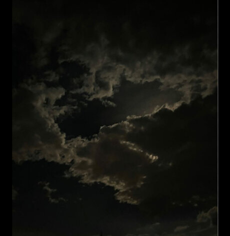 Sheppy exclusive model photos