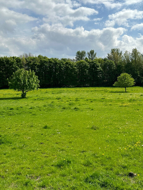 Naughty but Kinky_ xxx star picture