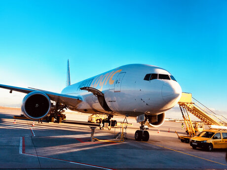 Parzival14_ art actress image