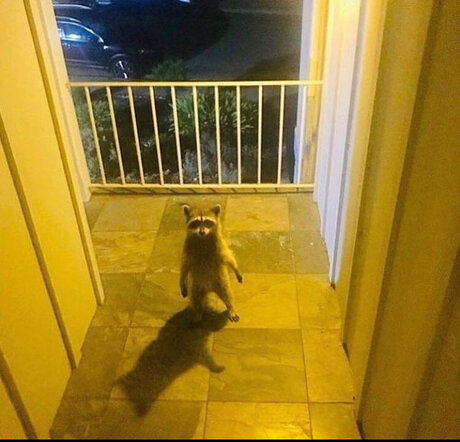 Franklin naked actress pic