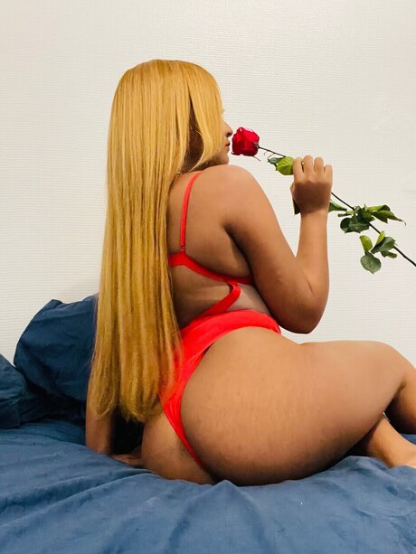 Privona star high quality galleries