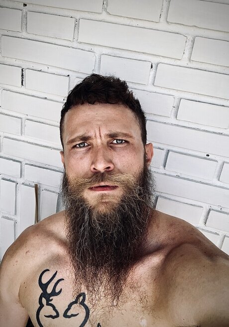 Orlove model art pics