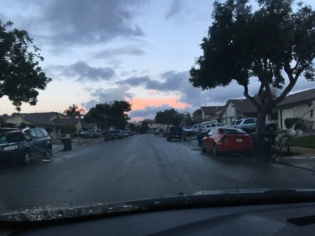 Megan Gardner star naked image