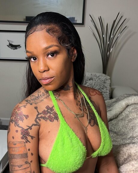 Minivee high quality model photo