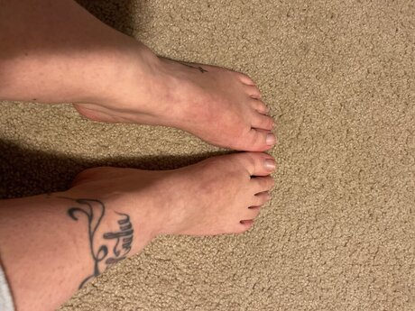 u230427061 star galleries