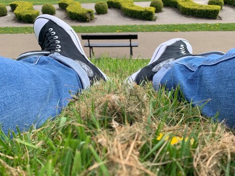 WeeReggie star nice gallery