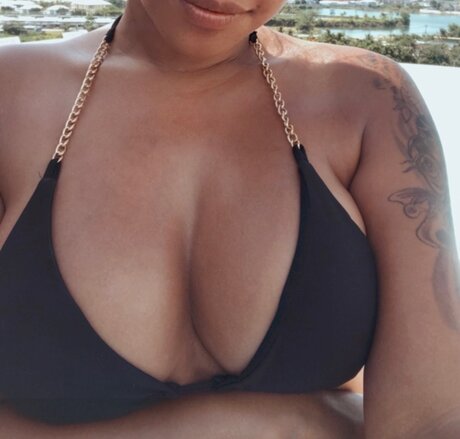 Lippy free star gallery