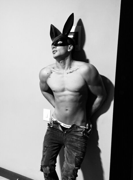 David Salazar star pornographic gallery