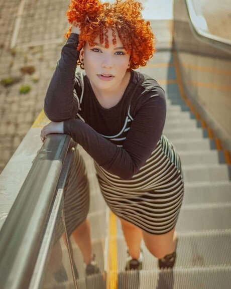 Dibsnina best model archive