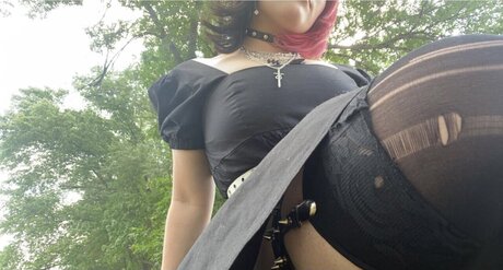 _slothsocks_ art star pictures