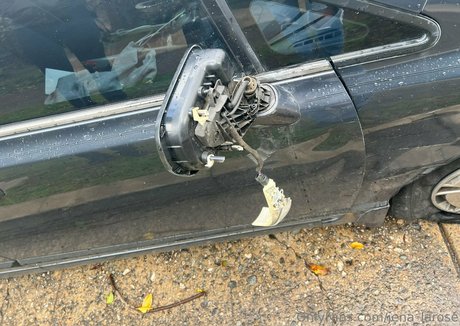 jena larose nudes star pictures