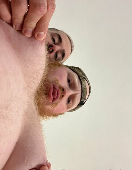 roaminghog star hd picture