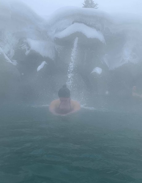 flowerpower87 high quality star gallery