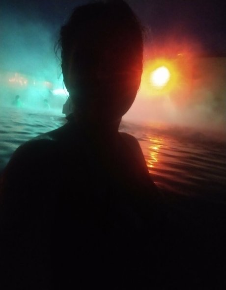 flowerpower87 model archive