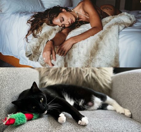 Casey Samsel star perfect pictures