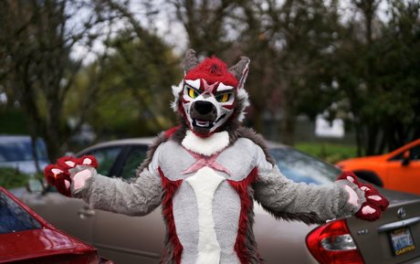 anejo xxx kaii high quality star archive