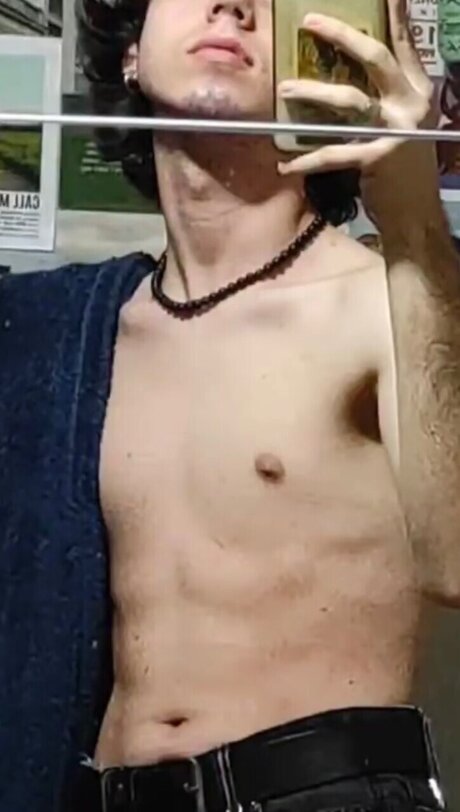 Salixlonica high quality model archive