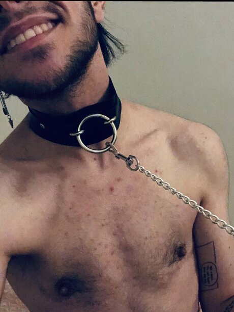 Persimmon star beautiful pictures