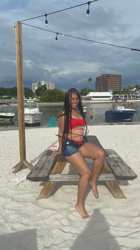 Nikkitty star images