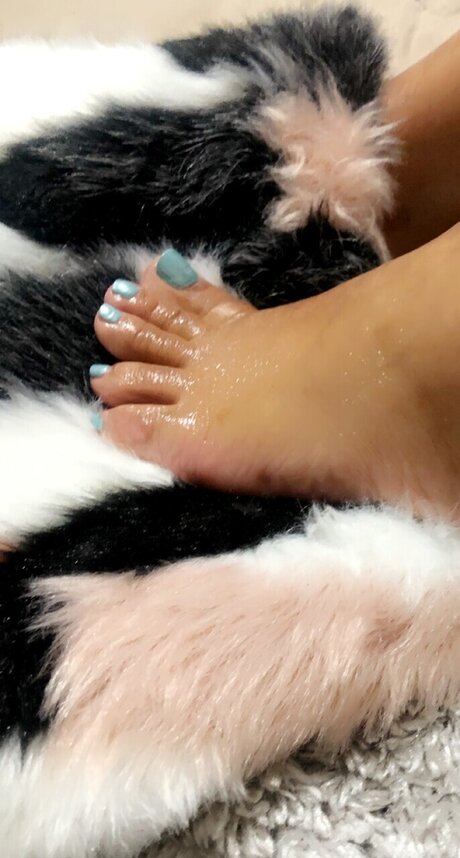 Pritti Piggis_ art star photo