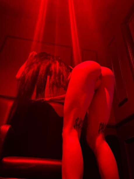 _amiri_ best star archive