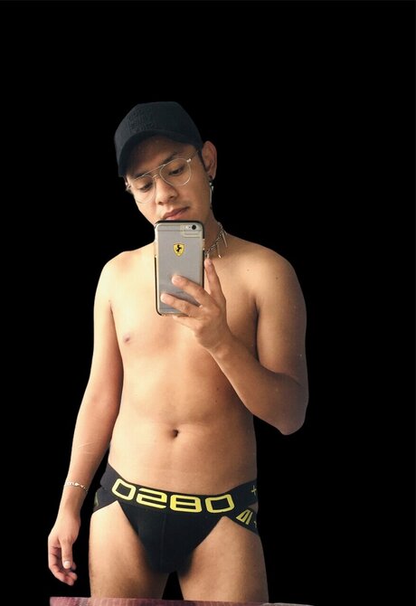 JoanneDessens star art image