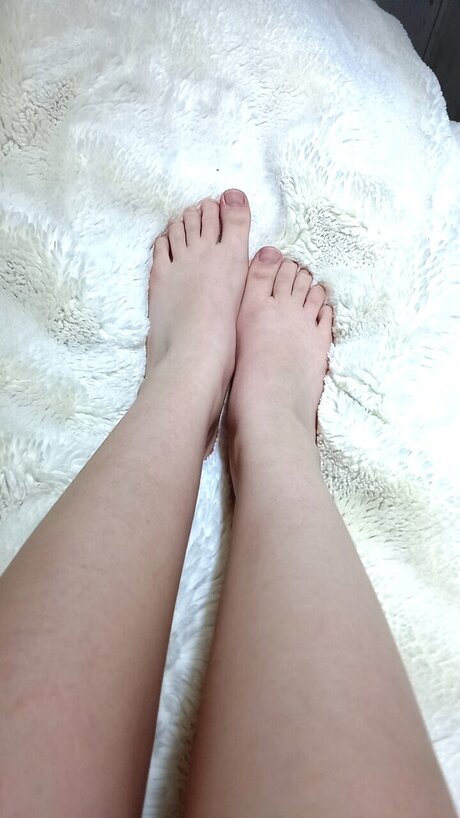 Patitas suavecitas free star image