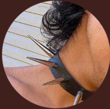 Dannycat beautiful star archive