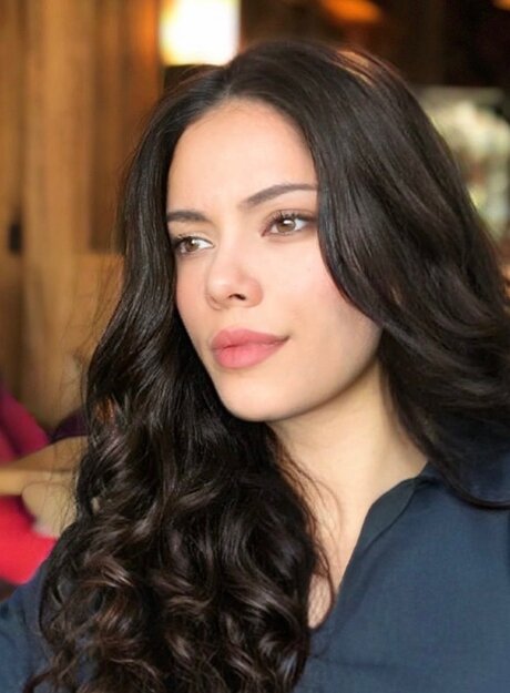 Xenia model art archive