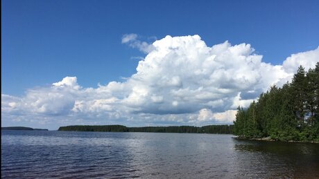 Angel of Lilith pornstar adult archive