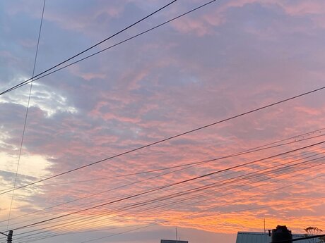 Cutie Foxy exclusive model galleries