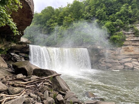 Brady Thicke art model img