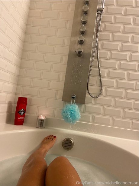 Michelle Anderson naked pornstar image