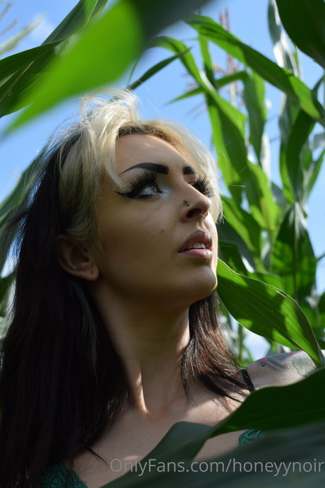 Honeyy Noir pretty pornstar img