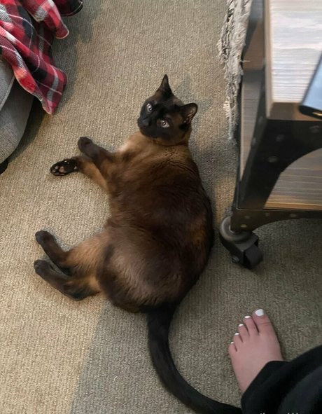 lesbian feet onlyfans hot images