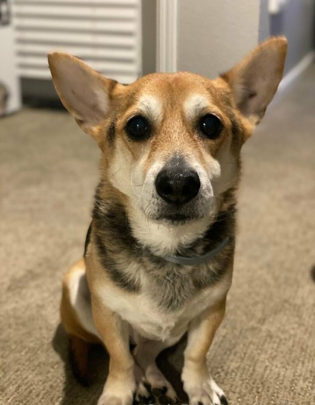 Karlibra pornographic model images