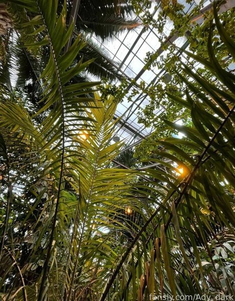 mom daughter onlyfans sex pic